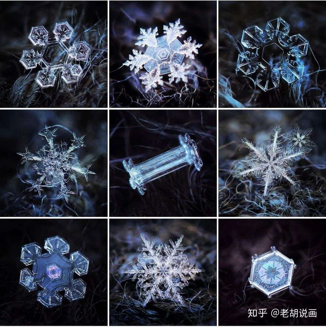 摄影 雪花可以有多美 知乎