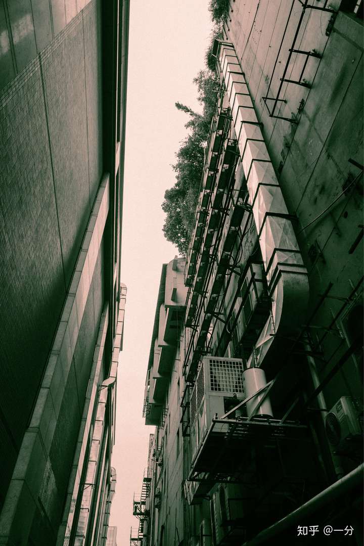 麻烦大家客观评价一下我的照片,为什么我越来越迷茫了?