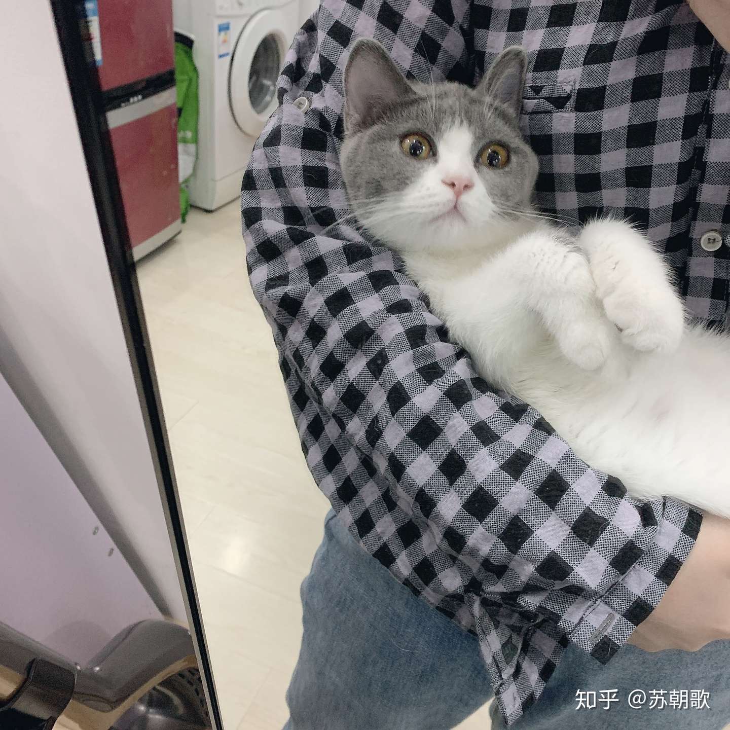 刚接回家的小猫肺水肿了- 知乎