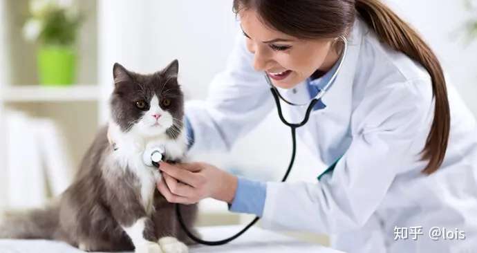 一篇文章带你了解新西兰梅西大学的王牌专业 兽医 内含兽医专业的全部申请流程 知乎