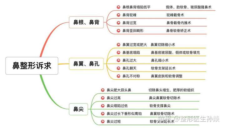 鼻子介绍图图片