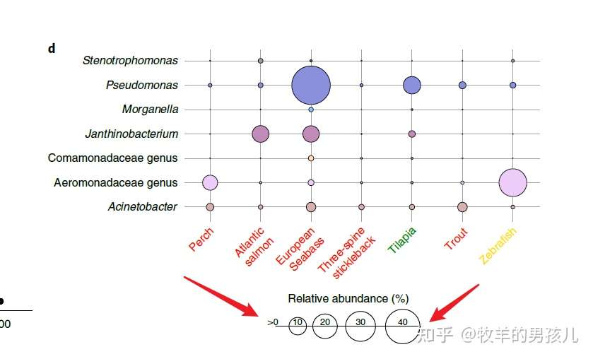 R语言ggplot2杂记：图例去掉灰色背景、添加椭圆和圆形分组边界- 知乎