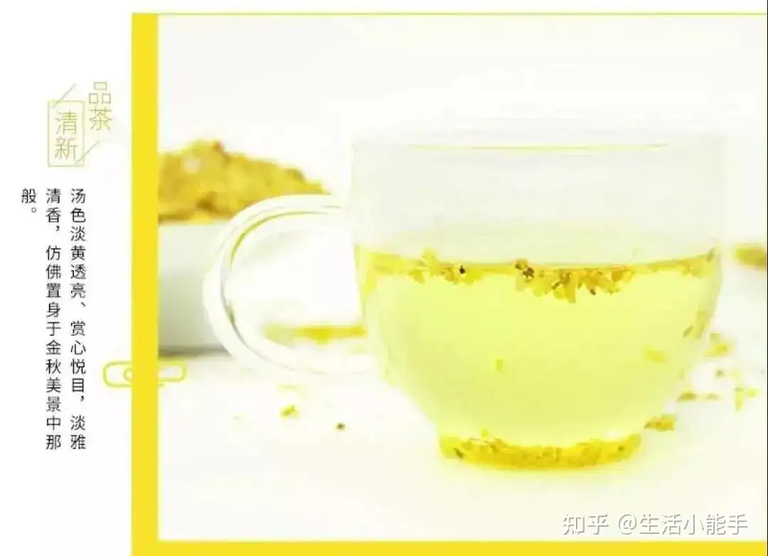 花草茶 桂花茶的制作 功效与搭配 知乎