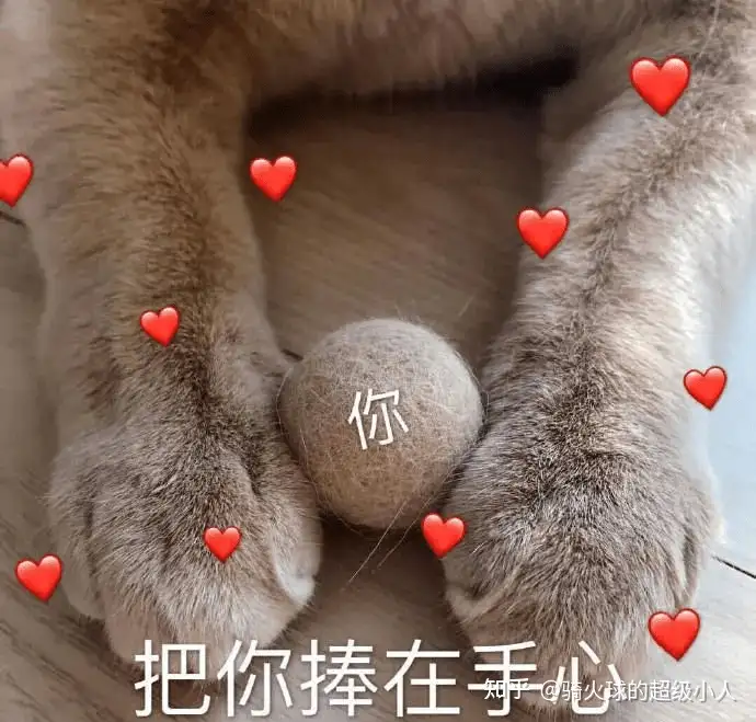 520文案100句---999