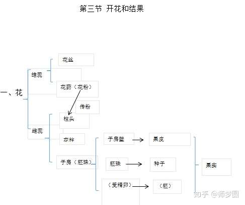 开花和结果板书设计图片