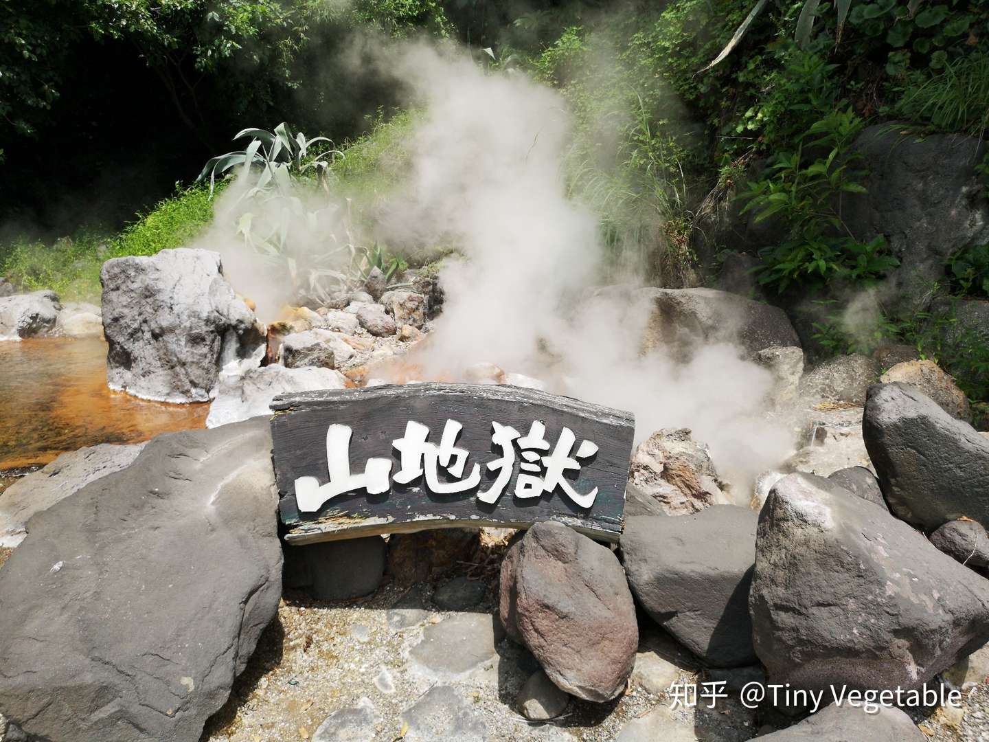 九州行 Day2 别府 知乎