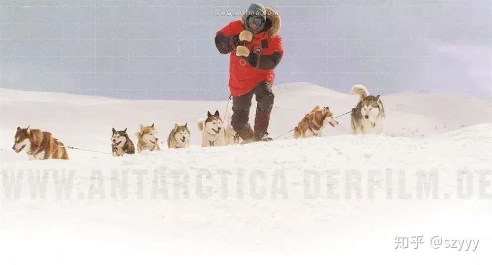 电影分享 南极大冒险eight Below 知乎