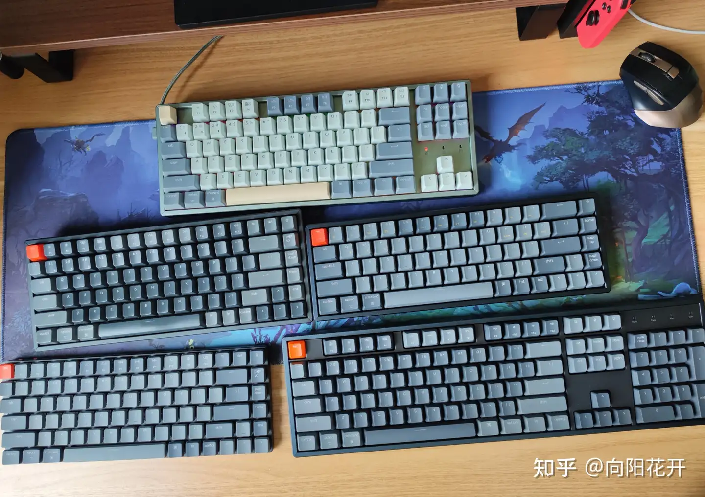 实测】2022机械键盘推荐！Keychron京造C1/K1/K2/K8系列键盘测评，京东