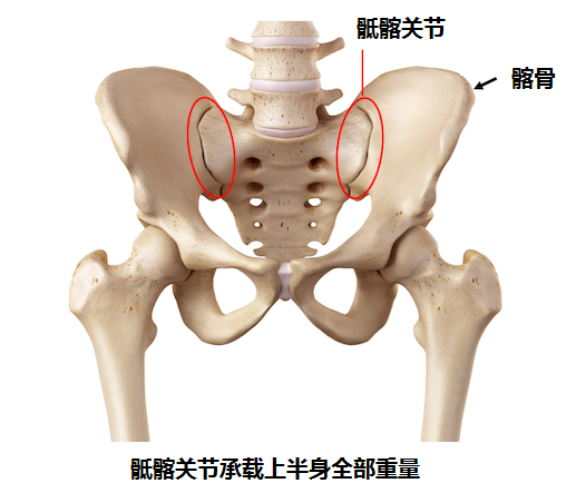 强直性脊柱炎 说骶髂 第一篇 知乎