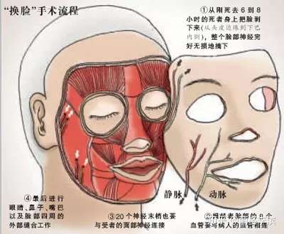 关于脸的四大要素 认清自己的面孔 一 知乎