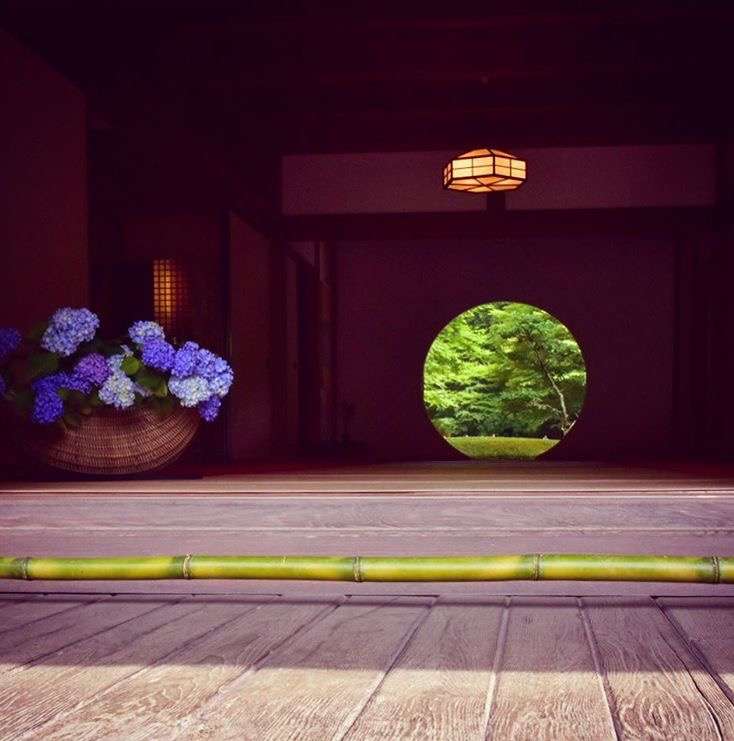 日本的这家寺院有全世界最漂亮的绣球花 知乎