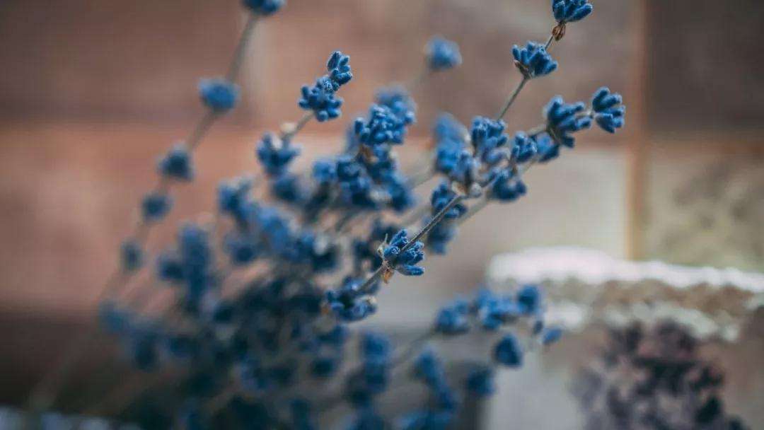 This image has an empty alt attribute; its file name is v2-f4a0334c8afea1fad61c1939e81a96ae_1440w.jpg