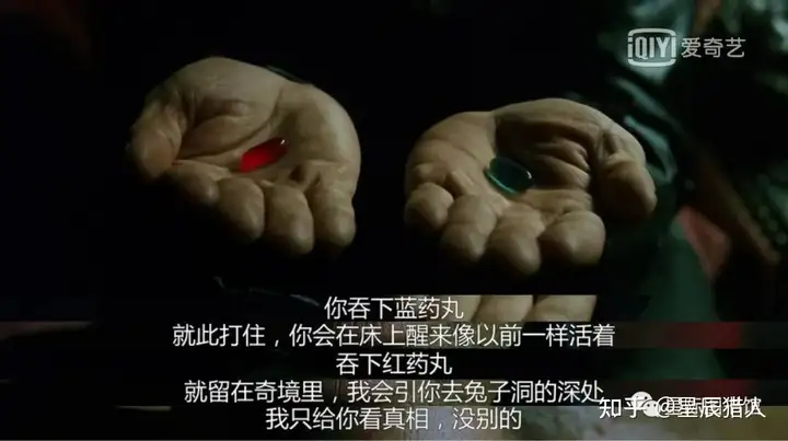 死亡之花和生命之花的区别(图3)