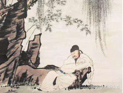 古诗中杨柳是杨树还是柳树 杨花是什么花 你能写几首咏柳诗吗 知乎