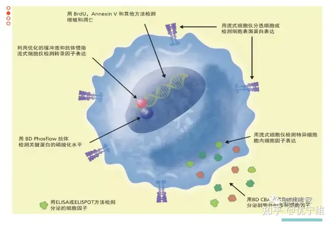 小优博士在线流式课堂—第141讲：流式基础- 知乎