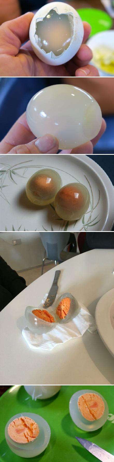 企鹅肉好吃么,为什么没有养殖的?