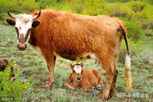 别让溺爱 毁了你的孩子 知乎