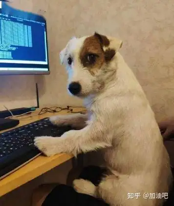 程序员不想写go代码的终极理由