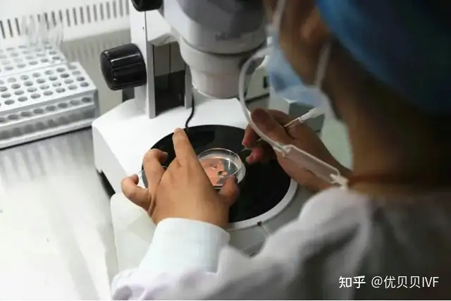 成都三代试管价格（【康贝贝助孕科普】胚胎实验室的工作流程和工作内容）