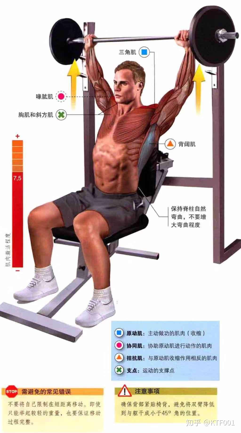 肩部肌肉器械使用指南 知乎