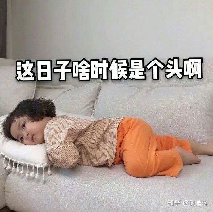 崩了這周我也去考!