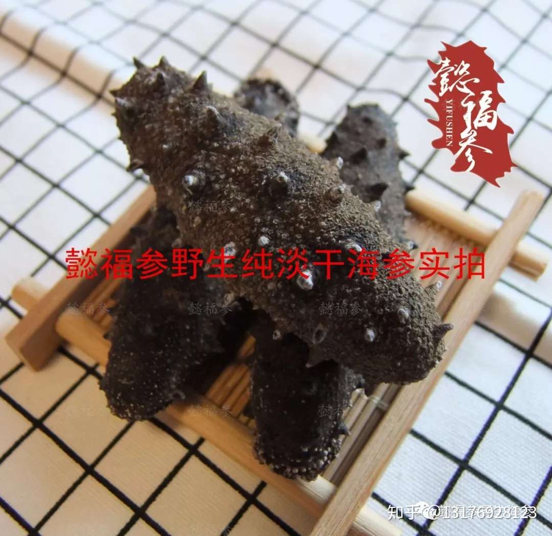 海参品种那么多 都有什么区别 看完这品文章秒懂 知乎