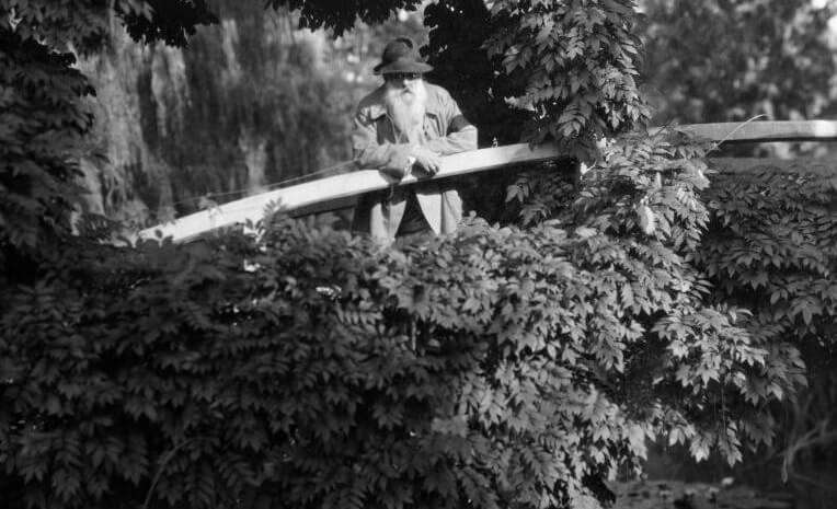 艺术杂谈」没有什么比印象派画家莫奈Claude Monet的睡莲更懂夏天- 知乎