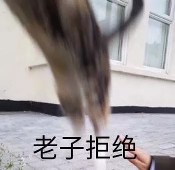 2020-2021年的网络沙雕文案句子搞笑:摩天轮就像个花圈插图33 2020-2021年的网络沙雕文案句子搞笑:摩天轮就像个花圈插图33