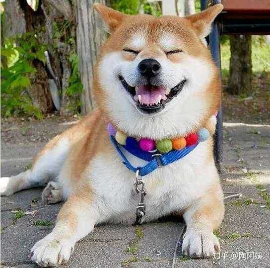 什么样的人活得最幸福 知乎