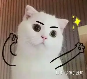 怎么样买飞机杯10s教你如何买到适合的飞机杯？