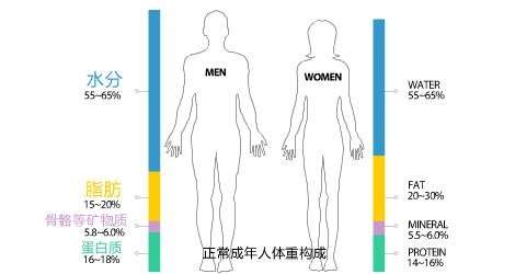 健身房体脂测试指南 教你看懂身体成分和健康程度 知乎