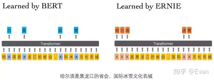 预训练模型 中文预训练模型 知乎