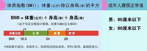 体重不代表一切 请正确认识肥胖 知乎