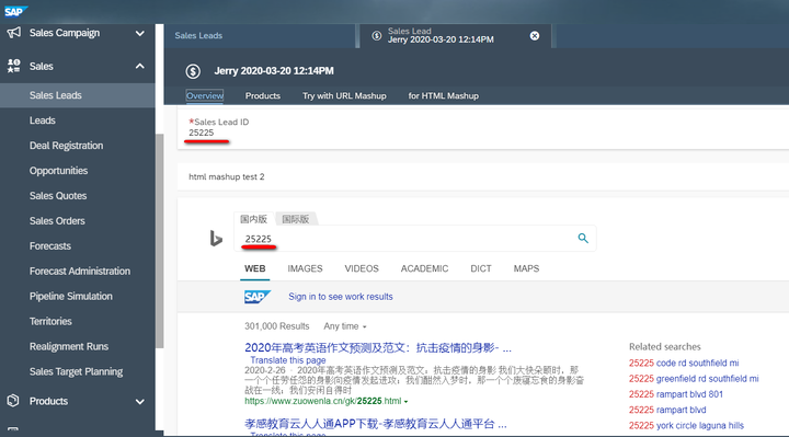 怎么在SAP Cloud for Customer页面嵌入自定义UI