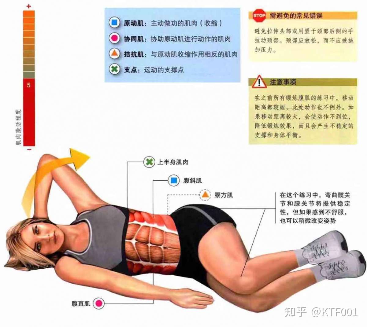 如何用健身房器械练出马甲线 请看详细腹部器械使用攻略 知乎