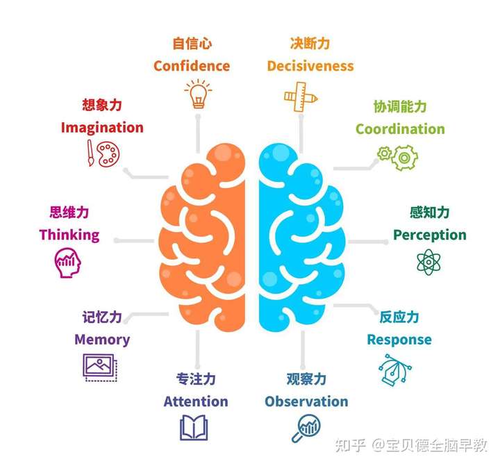 孩子的思维力,注意力,观察力,想象力,记忆力,专注力等基本认知能力