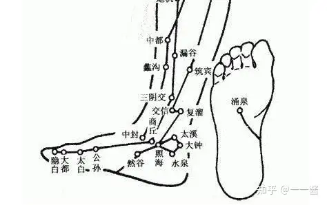 脚底这几个穴位，常按摩有好处（附脚底穴位图）丨脚底按摩的视频与讲解