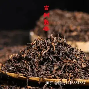 缅甸果敢掸邦古树茶口感特点普洱茶
