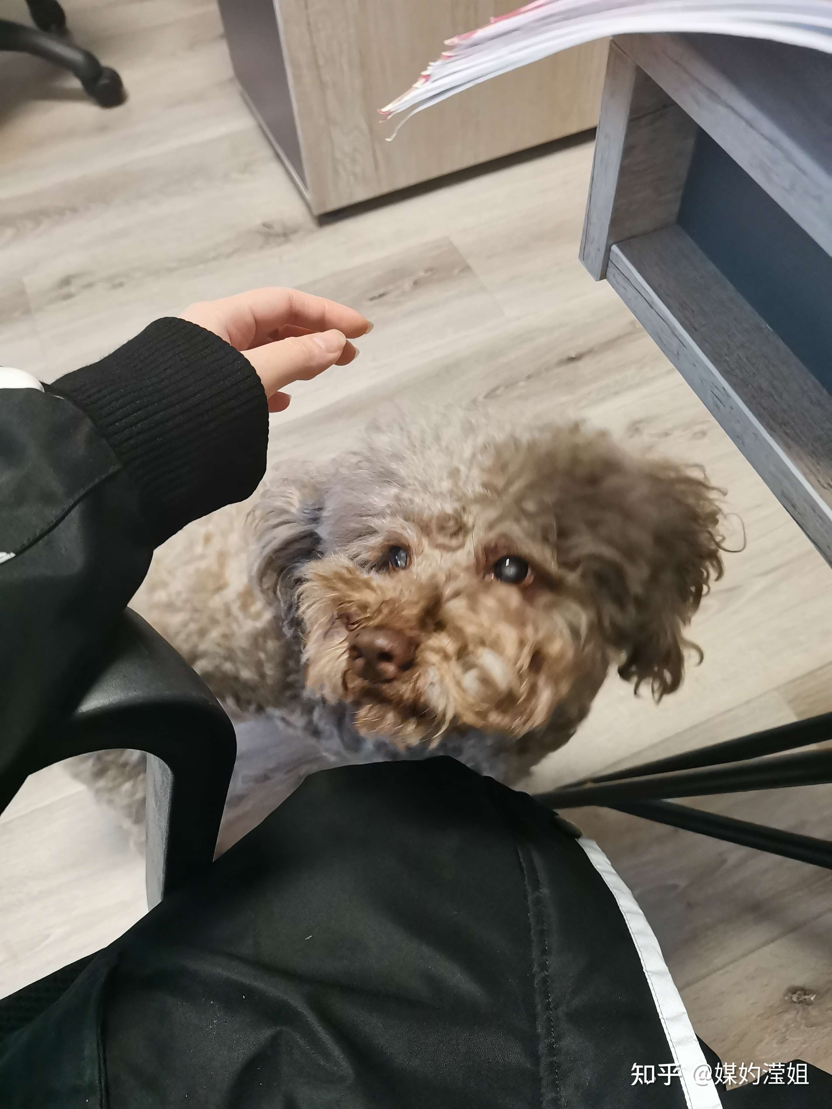 媒妁滢姐 的想法: 介绍一下俪锦缘的新员工,单身狗形象展示… - 知乎