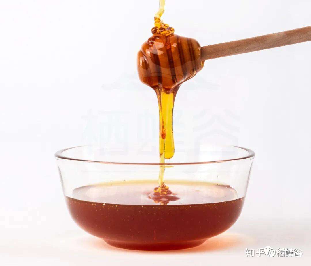 栖蜂谷 每天三颗枣百岁不显老 那就不如 枣花蜜 一勺了 知乎