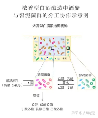 活态双国宝”之1573国宝窖池群- 知乎