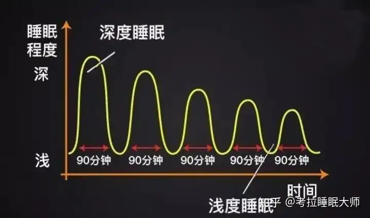 8小时睡眠，为什么就是错的呢？（八小时以上睡眠多久）