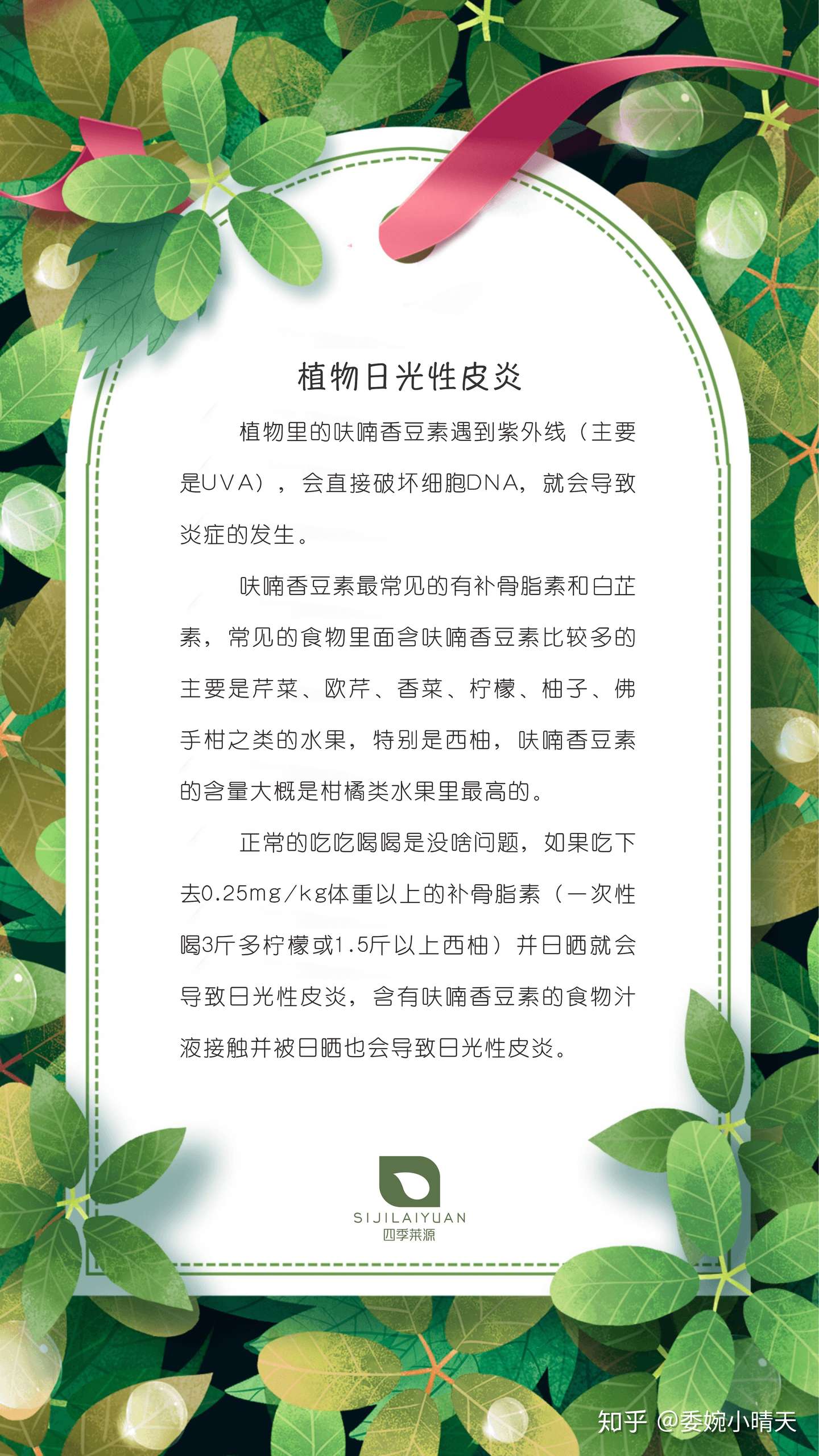 护肤小知识 关于植物日光性皮炎 知乎