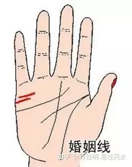 【蒋佳明】手相:能看出轨外遇信息?