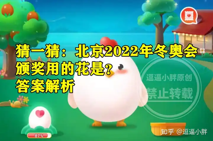 北京2022年冬奥会颁奖用的花是绒线花吗？蚂蚁庄园答案（北京冬奥会花滑赛程） 第4张