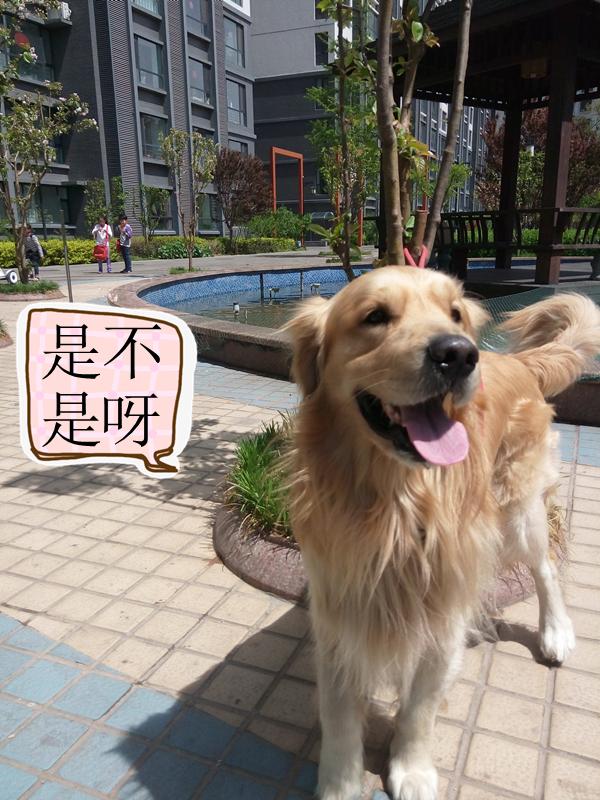 接下来,还是跟着我,去看看一只单身狗的诗和远方吧.