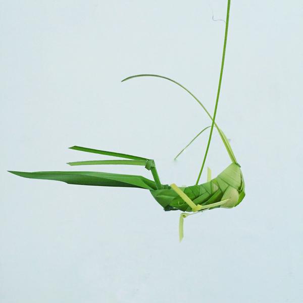 有哪些经过简单训练就能拥有的炫酷小技巧? - 知乎