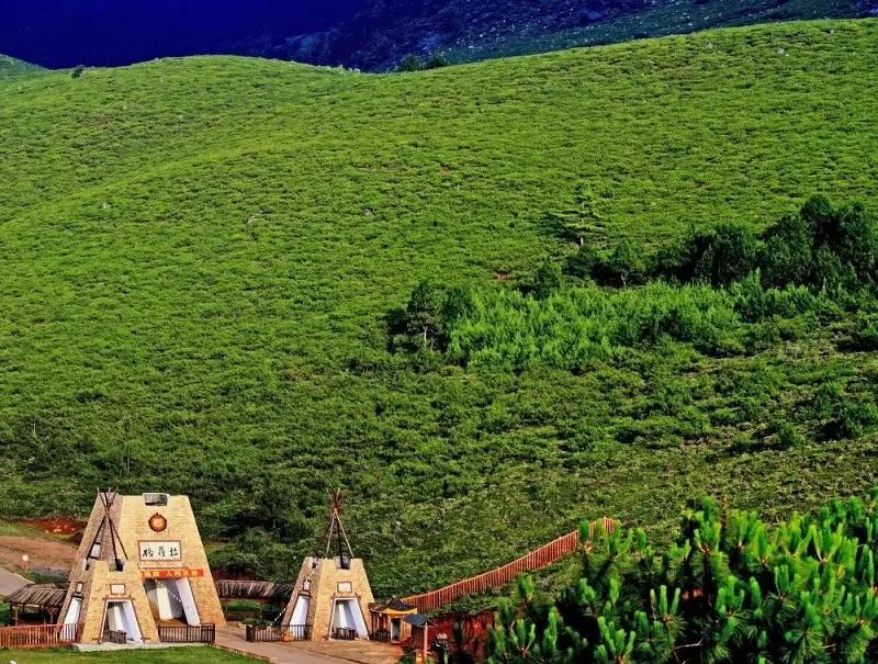 攀枝花,绽放的旅游之花