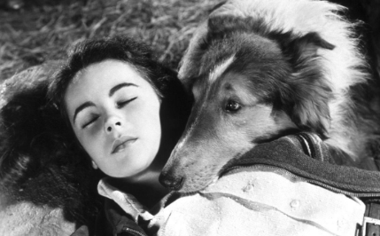 《灵犬莱西 lassie come home》 (1943)