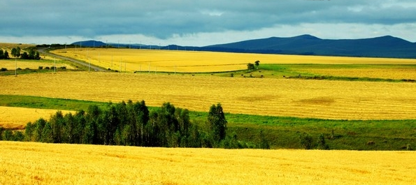 财务自由之路:一个投资家的二十年